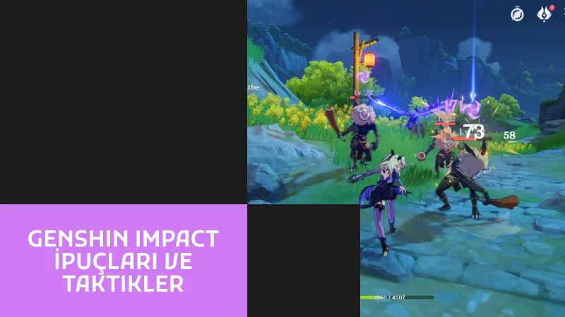 Genshin Impact İpuçları ve Taktikler